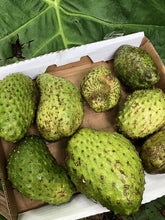 Load image into Gallery viewer, Organic Soursop
