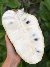 Load image into Gallery viewer, Organic Soursop
